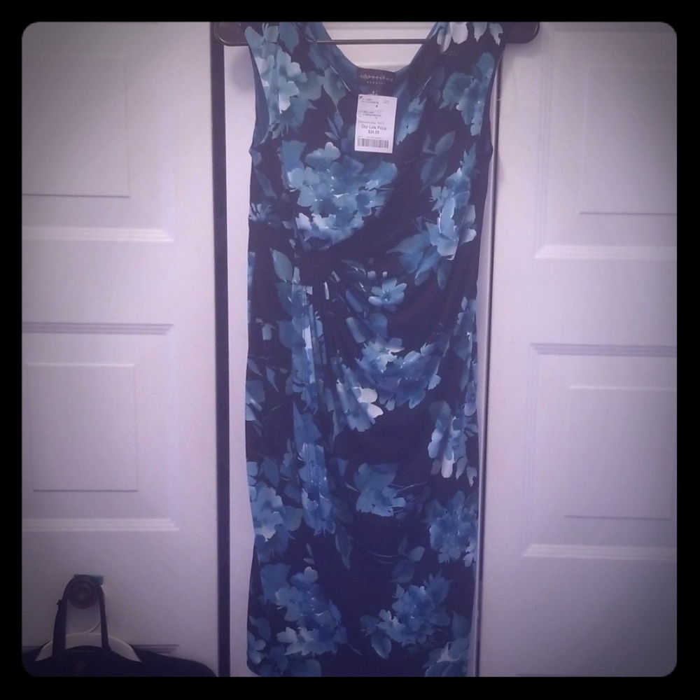 Women's dress